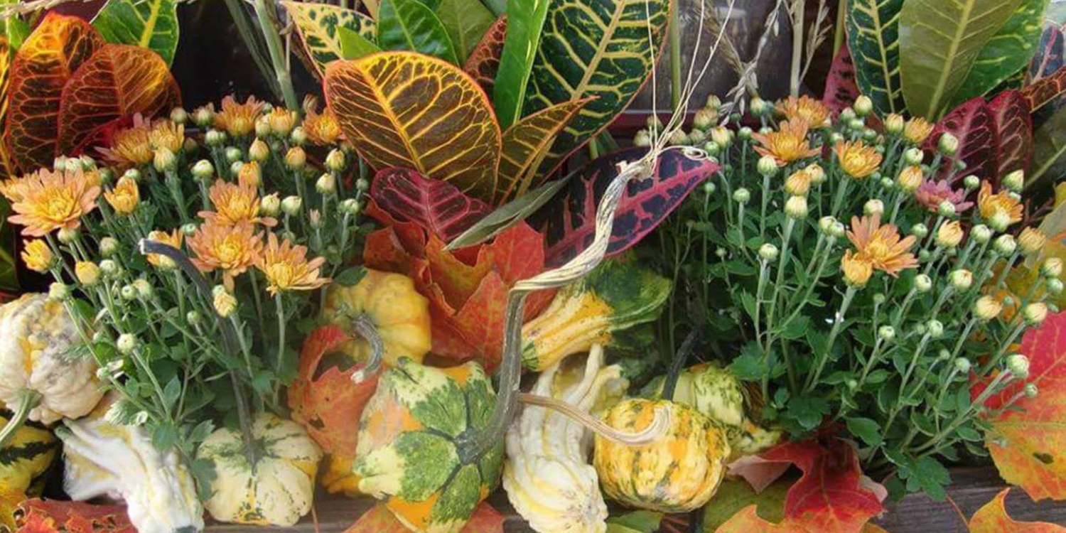 Autumn decorations