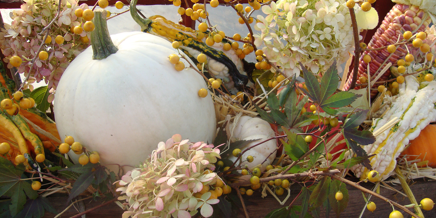 Autumn decorations with pumpkins