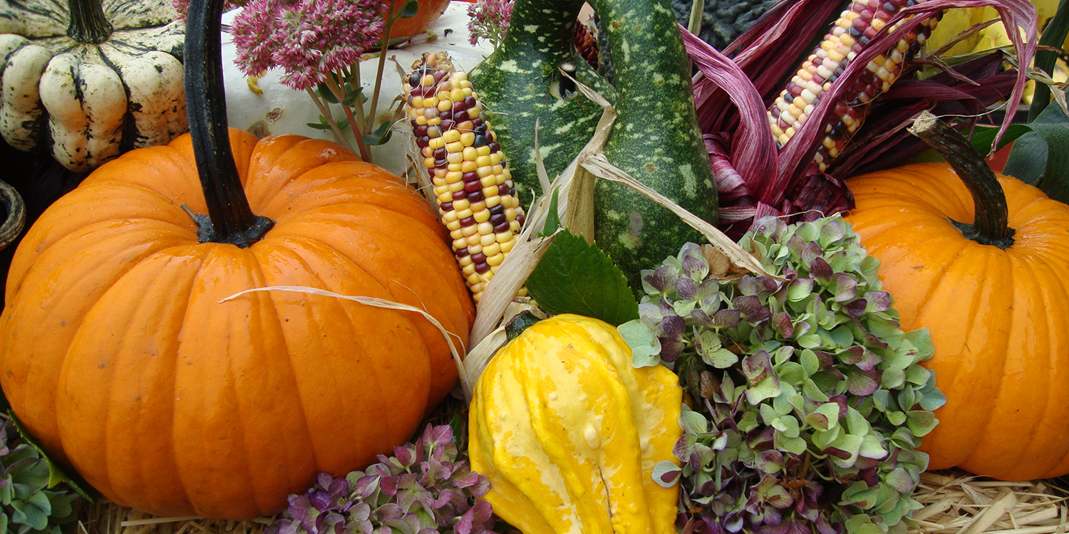 Fall-themed decorations